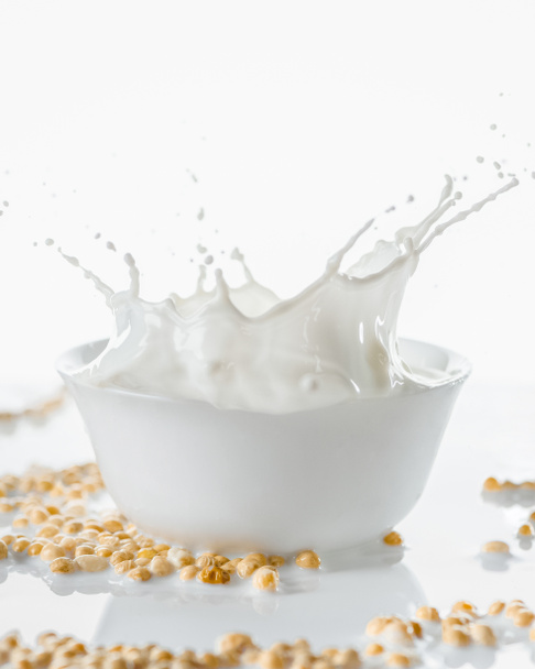 Maito roiskuu valkoisessa kulhossa soijapapujen kanssa valkoisella taustalla
 - Valokuva, kuva