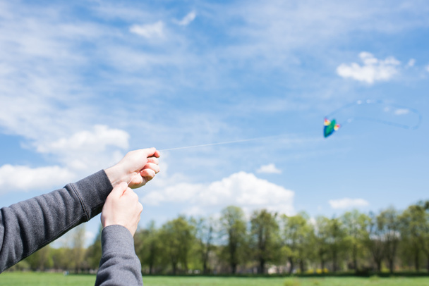 cropped image of man flying kite on meadow in park - Foto, Imagem