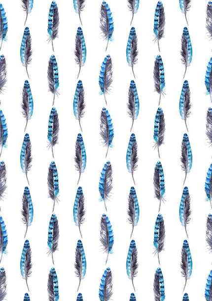 Acuarela azul jay pluma fondo patrón textura
 - Foto, Imagen
