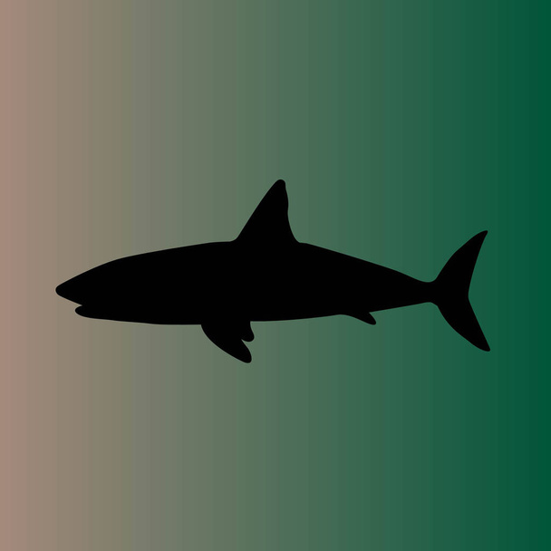 simple shark vector icon - Vector, Image