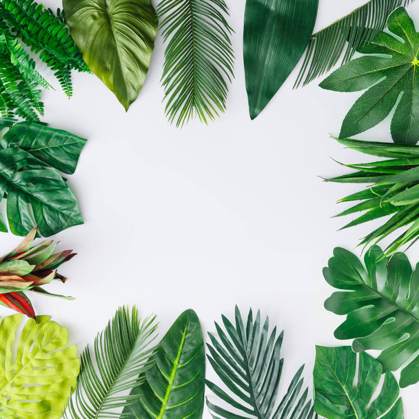 Creatieve lay-out gemaakt van tropische bladeren op een witte achtergrond. Minimale zomer exotische concept met kopie ruimte. Regeling van de grens. - Foto, afbeelding