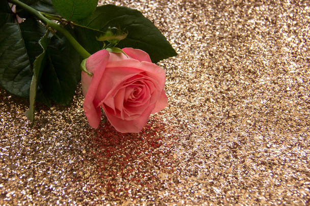 rose rose sur fond or
 - Photo, image