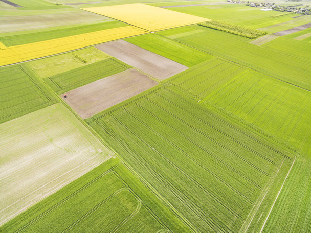 Lente, agrarische landschap van gecultiveerde velden gezien vanuit de bird's Eye View. Abstracte achtergrond met kleurrijke velden. - Foto, afbeelding