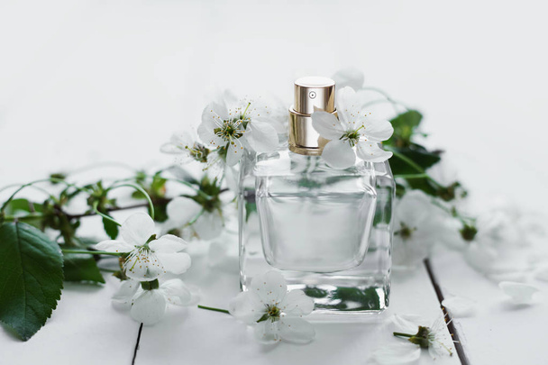 Perfumery, fragrance collection - Fotoğraf, Görsel