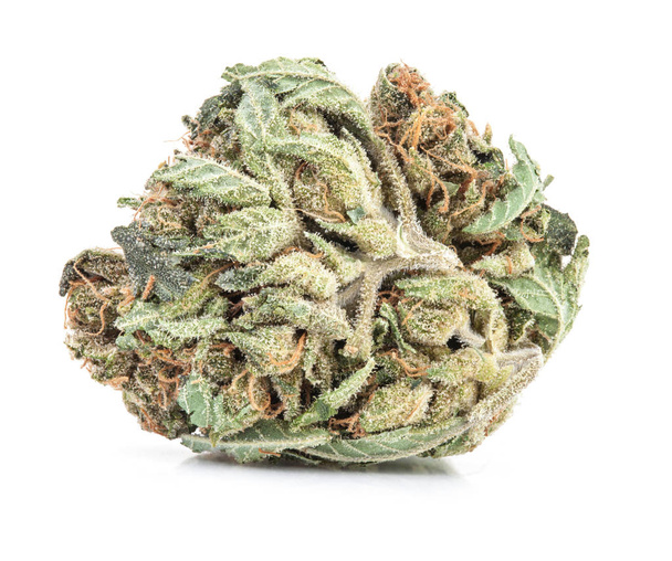 Медична марихуана ізольована на білому тлі
 - Фото, зображення
