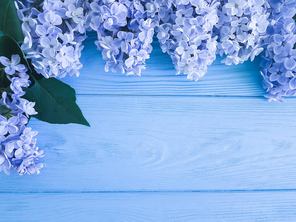 bella lilla fresca su uno sfondo di legno
 - Foto, immagini