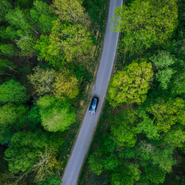 Car driving on road in forest,aerial view - Valokuva, kuva