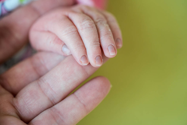 Newborn baby, closeup of fingers of fingers on hand of mother - Фото, изображение