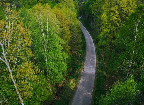 Asphalt road trough forest,from above - Photo, Image