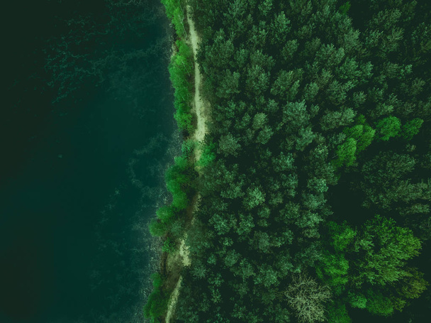 Metsän ja järven raja, pehmennetty kuva ylhäältä
 - Valokuva, kuva