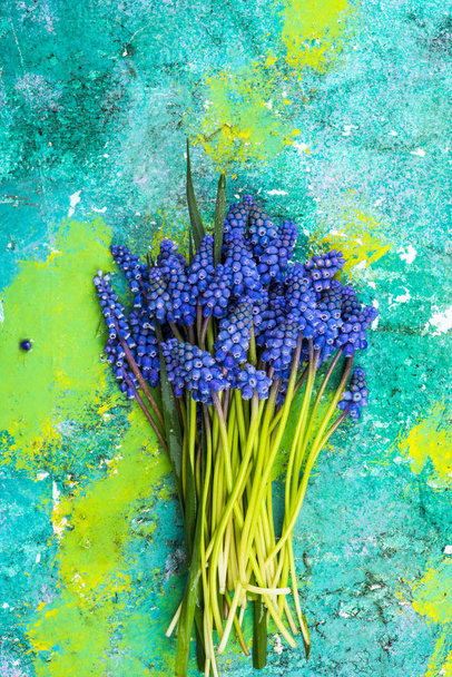 Букет зі свіжих порізаних квітів гіацинта на барвистому фоні
 - Фото, зображення