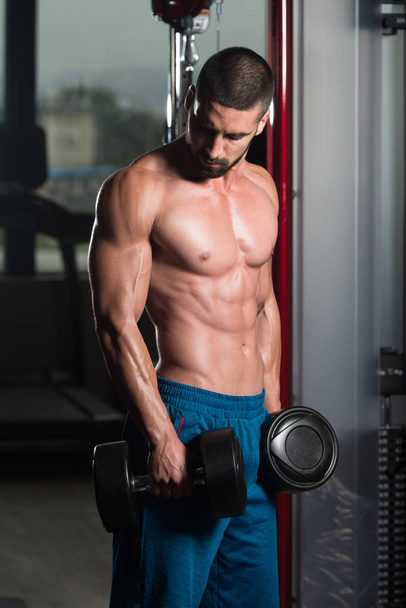 Bodybuilder Exercising Biceps With Dumbbells - Photo, Image