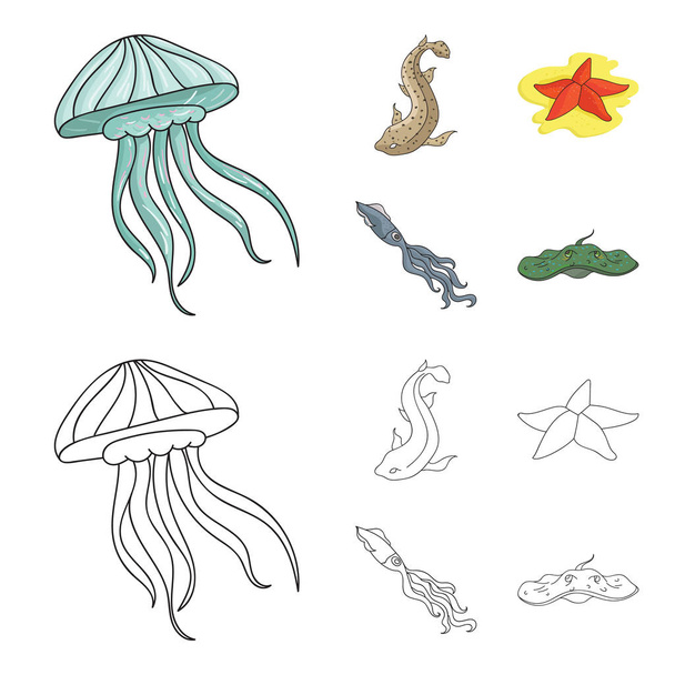 Jellyfish, squid and other species.Sea animals set collection icons in cartoon,outline style vector symbol stock illustration web. - Вектор,изображение