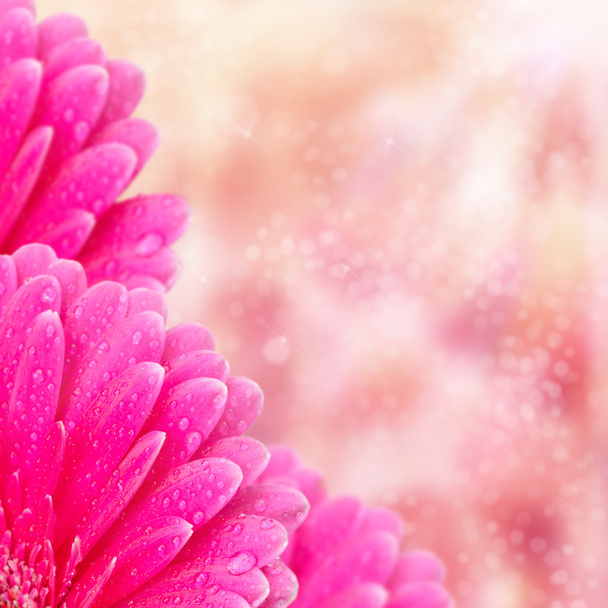 Pink flowers background with bokeh - Foto, Imagem