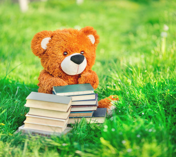 medve játék ül a fűben egy könyvvel - Fotó, kép