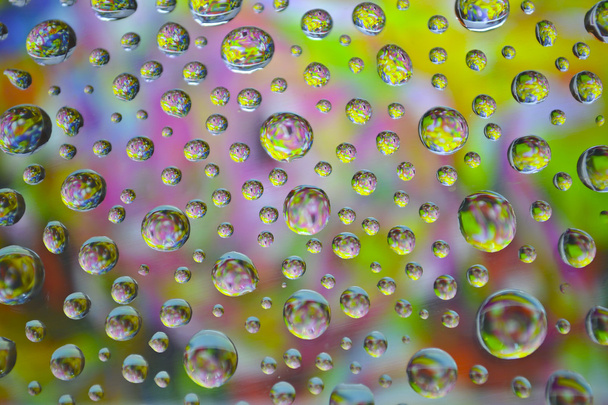 Water drops - Photo, Image