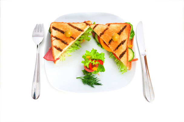 Toasted bread with filling isolated - Photo, image