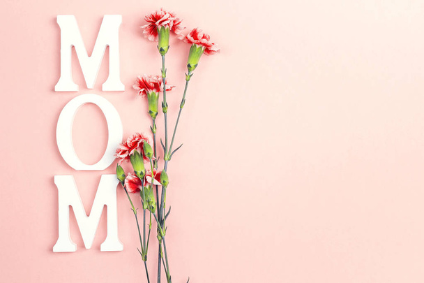 Mother's Day background with carnation flowers on pink. Copy spa - Fotografie, Obrázek
