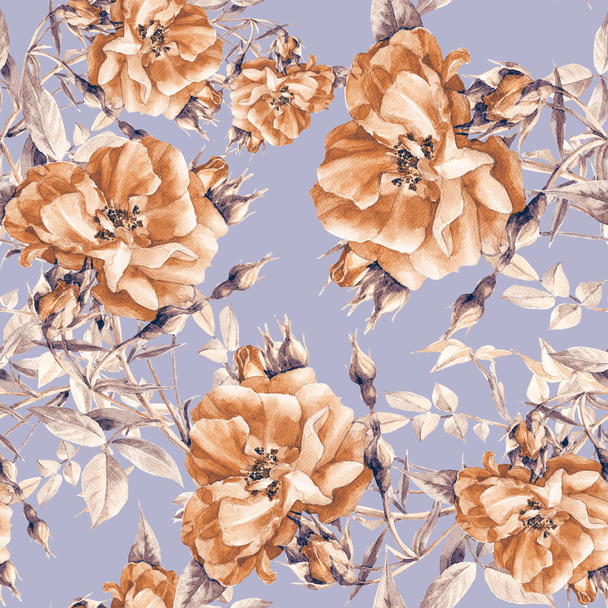 Seamless pattern of roses painted in watercolor. - Photo, Image
