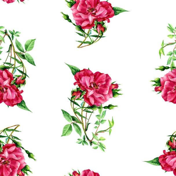 Seamless pattern of roses painted in watercolor. - Photo, Image