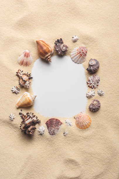 Cadre de divers coquillages sur une plage de sable fin
 - Photo, image
