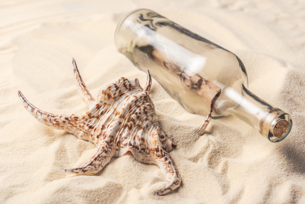 Concha de mar y botella con carta en la playa de arena
 - Foto, Imagen