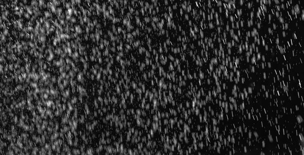 Siyah arkaplanda su damlaları - Fotoğraf, Görsel