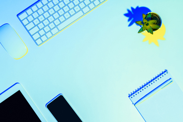 blue toned picture of plant, computer mouse and keyboard, digital tablet, smartphone, pen and textbook  - 写真・画像