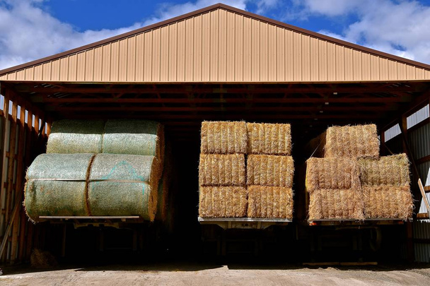 Три прицепа больших тюков сена припаркованы под сараем
 - Фото, изображение