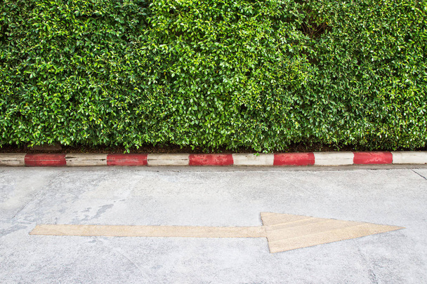 Jardin décoratif sur un sol en ciment
 - Photo, image