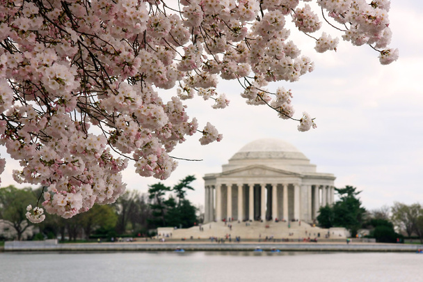 Jefferson Memorial - Fotoğraf, Görsel