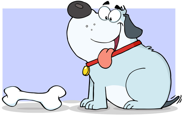 Gray Fat Dog With Bone - Photo, Image