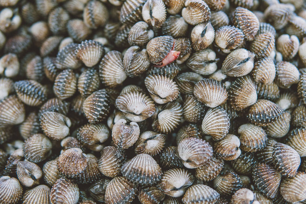 schaal-en schelpdieren op de markt textuur close-up.  - Foto, afbeelding