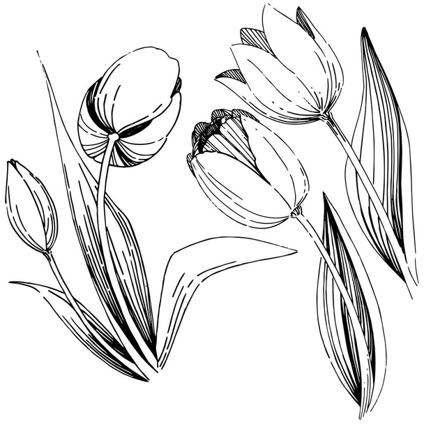 Wildflower tulip flower in a vector style isolated. - Vettoriali, immagini