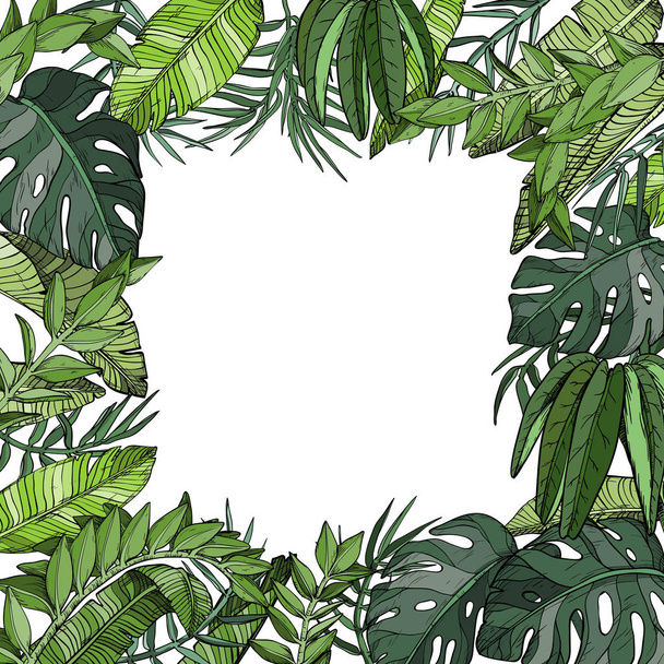 Tropical palm leaves background, jungle plants - ベクター画像