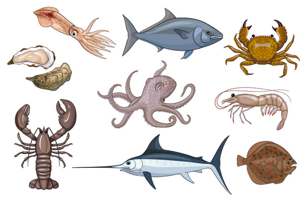 cartoon set of edible sea animals - Διάνυσμα, εικόνα