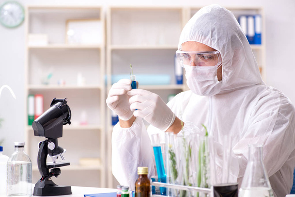 Biotechnology scientist chemist working in lab - Foto, imagen