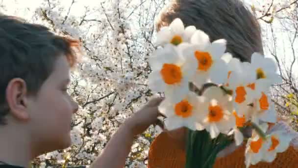Een zoon van tieners presenteert een volwassen middelbare leeftijd moeder een boeket van witte narcissen op de achtergrond van een bloeiende boom, moeders dag - Video