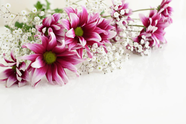 Красиві і милі повні квіти
 - Фото, зображення