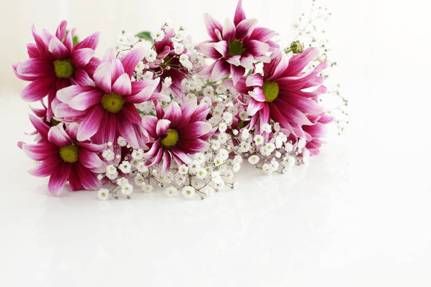 Krásné a roztomilé rozkvetlé květiny - Fotografie, Obrázek