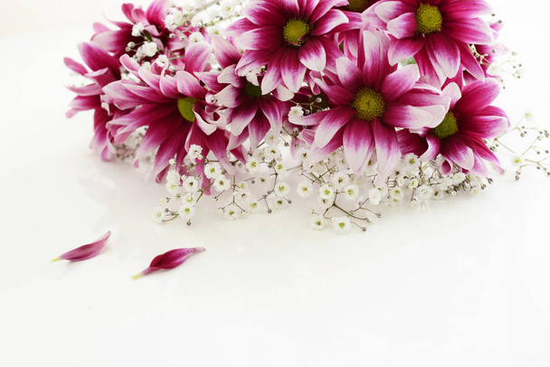 Krásné a roztomilé rozkvetlé květiny - Fotografie, Obrázek
