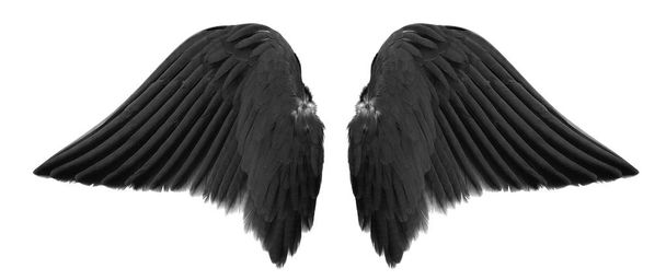 白い背景で隔離の黒い天使の翼 - 写真・画像