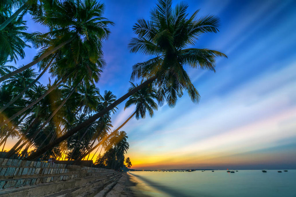 Sunrise on the tropical beach with sun rays piercing through the coconut palm trees in the sky creates beautiful scenery to welcome new days at paradise beach. - Photo, Image