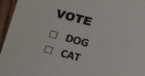 Ψηφοφορία - κουτάκι - σκύλος Vs γάτα - Πλάνα, βίντεο