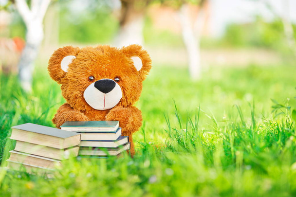 Spielzeugbär sitzt mit Buch im Garten - Foto, Bild
