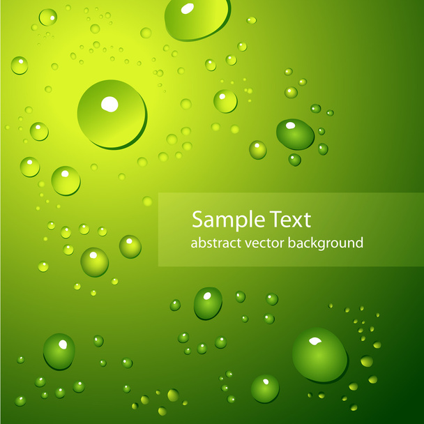 abstract background with water drops on green - vector illustration - Vector, Image