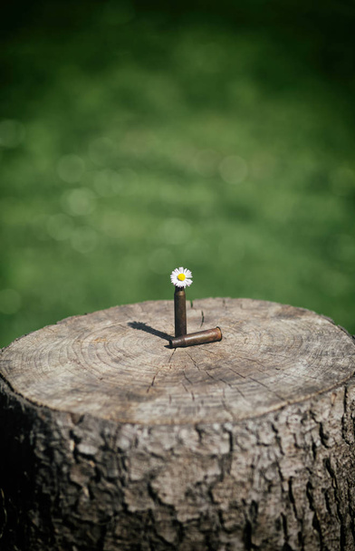 guscio fucile e proiettile con giallo piccolo fiore all'aperto su tavolo di legno con sfondo verde bokeh
 - Foto, immagini