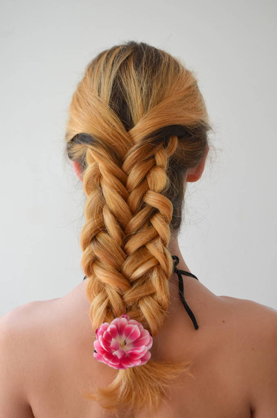 A girl with a beautiful hairdress with  tulip Columbus. Hair braided with four strands  - Photo, Image