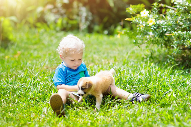 Τα παιδιά παίζουν με το κουτάβι. Τα παιδιά και το σκυλί στον κήπο. - Φωτογραφία, εικόνα