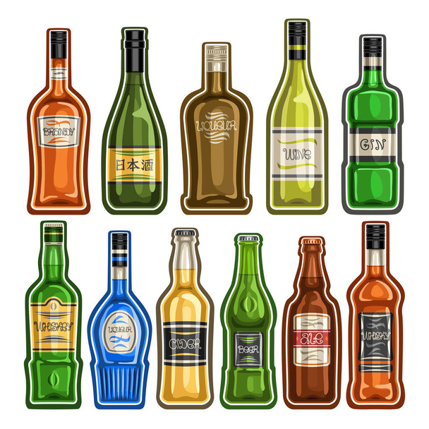 Vector set van verschillende flessen, 11 vol glas containers met kleurrijke premie alcohol drinkt verschillende vorm, collectie cartoon iconen van sterke drank flessen voor barmenu geïsoleerd op witte achtergrond. - Vector, afbeelding